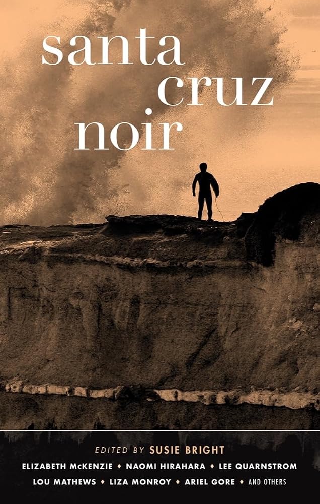 Santa Cruz Noir (Akashic Noir) cover image