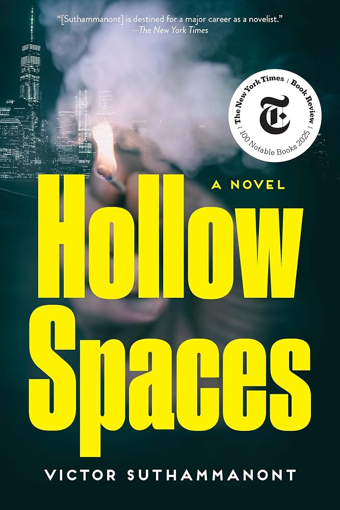Hollow Spaces: A Novel cover image