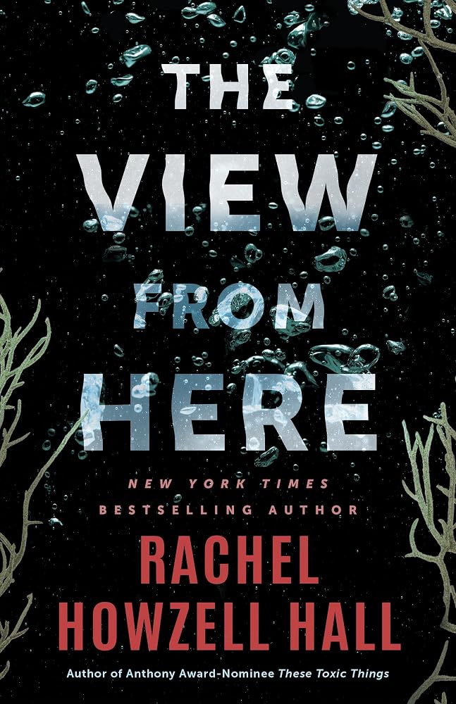 The View from Here: A Thriller cover image